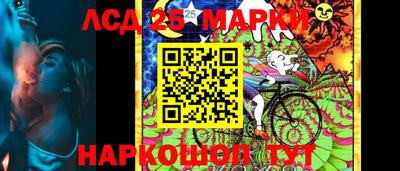 шишки Будённовск