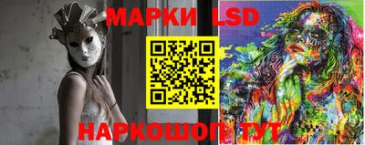 шишки Будённовск