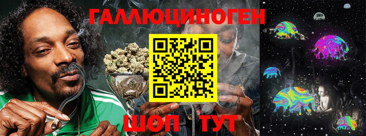 Галлюциногенные грибы Psilocybine cubensis Тайшет